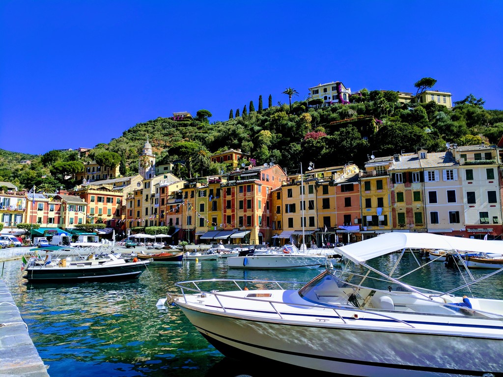 Portofino, Italy  by sarahabrahamse