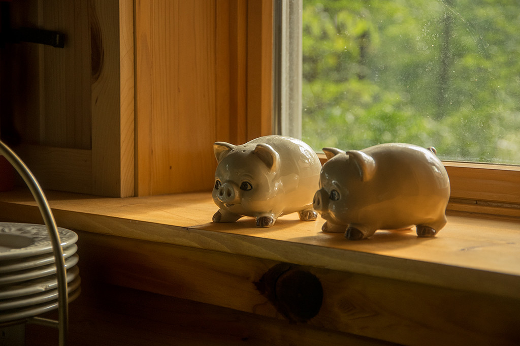 Little Pigs -UpNorth July 2017 by houser934