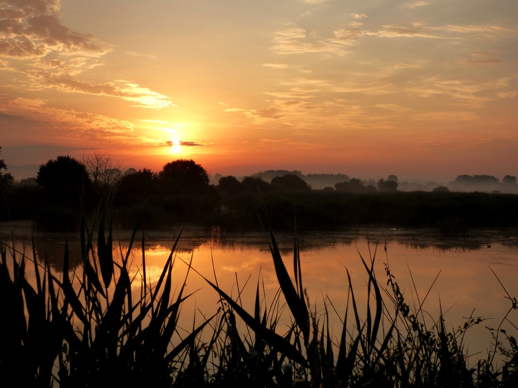 Dawn over the wetlands by julienne1