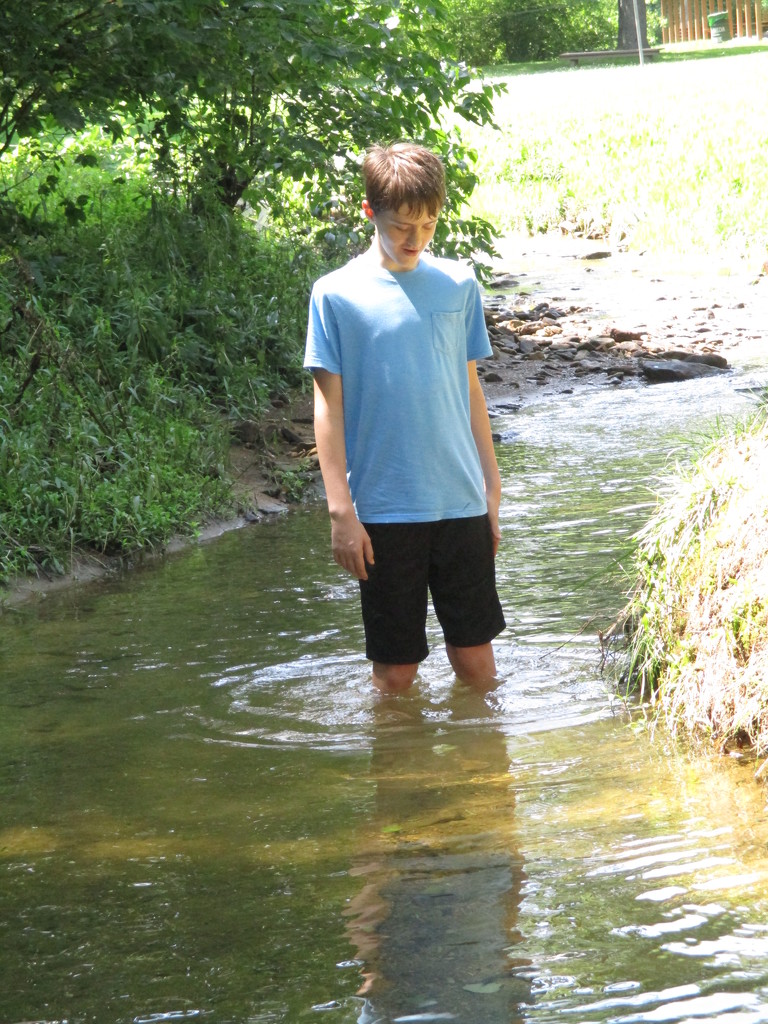 Knee Deep in the Creek by julie