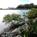 Auckland Point by ubobohobo