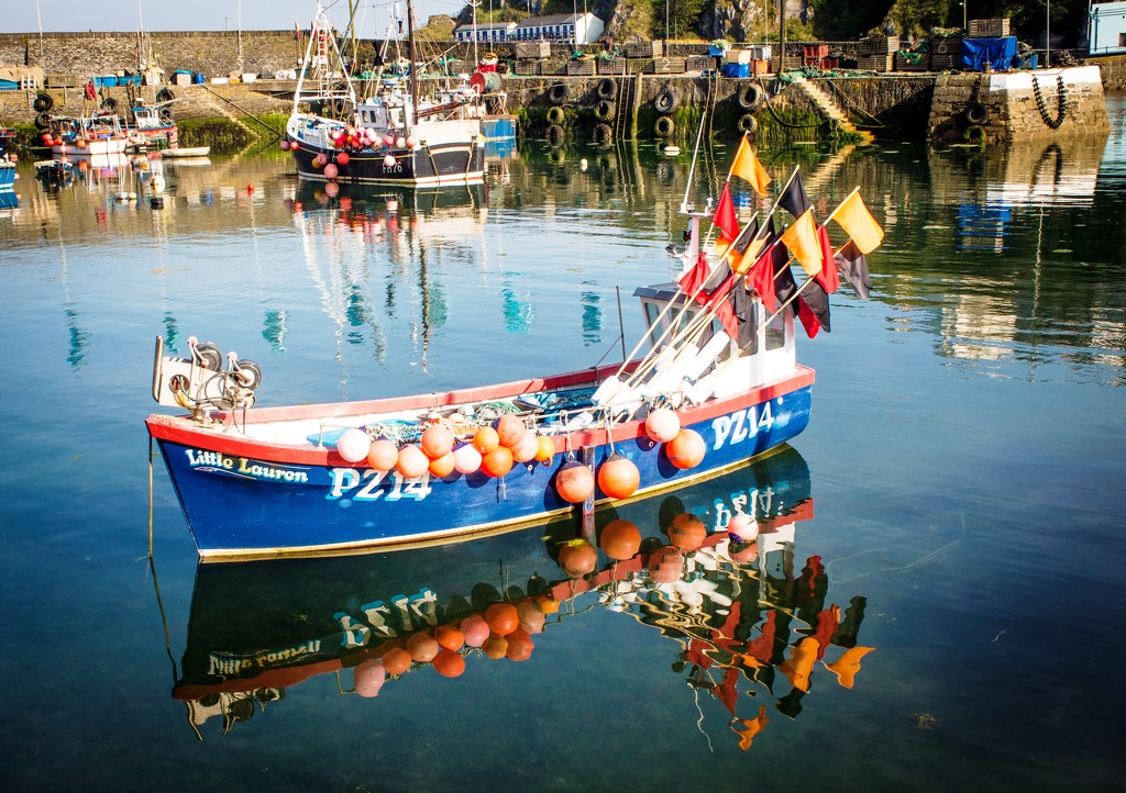Boat in Mevagissey harbour by swillinbillyflynn