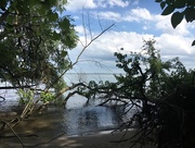 16th Jul 2017 - Lake Erie view from Michigan