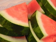 15th Jul 2017 - Watermelon in Container Closeup