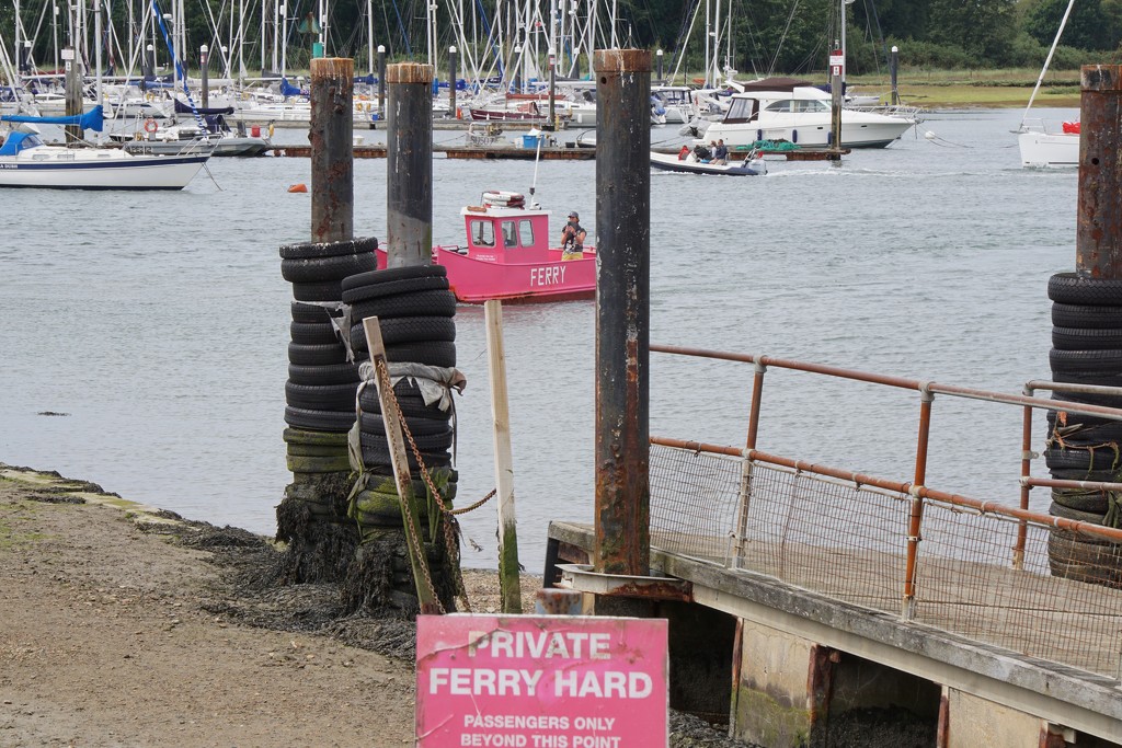 the pink ferry  by quietpurplehaze