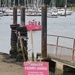 the pink ferry  by quietpurplehaze