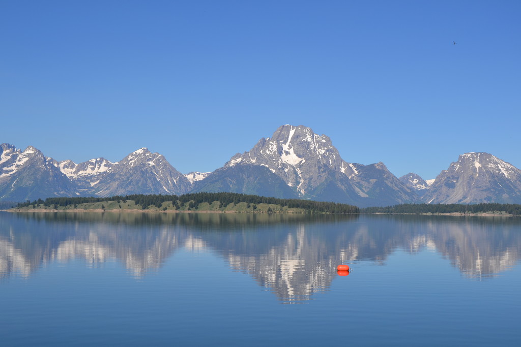 The Grand Teton mountains reflected in Jackson Lake by louannwarren
