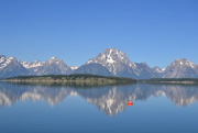 15th Jul 2017 - The Grand Teton mountains reflected in Jackson Lake