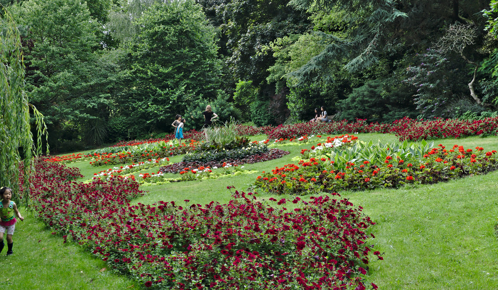 Nottingham Arboretum Gardens by phil_howcroft