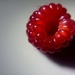 Day 320:  Baby Raspberry  by sheilalorson