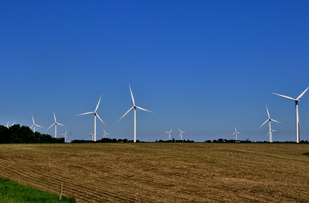 Growing Wind Turbines by lynnz