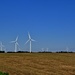 Growing Wind Turbines by lynnz