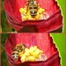 Busy little bee............. by ludwigsdiana