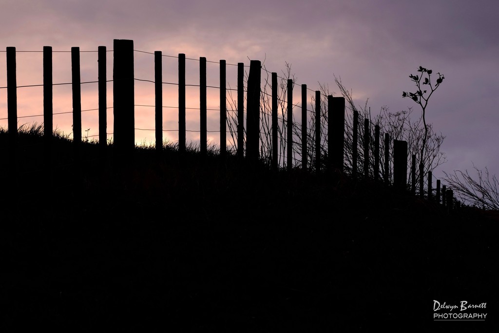 Fence line by dkbarnett