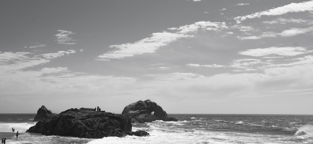 Seal Rocks from Sutro Baths by cristinaledesma33