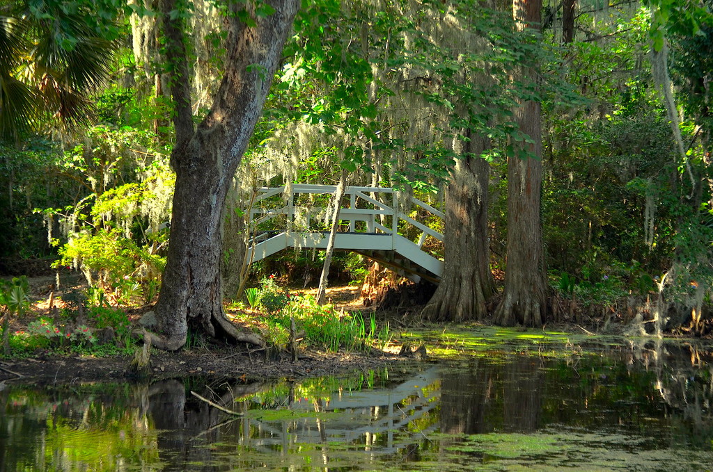 One of the scenic bridges at Magnolia Gardens, Charleston, SC by congaree