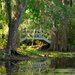 One of the scenic bridges at Magnolia Gardens, Charleston, SC by congaree