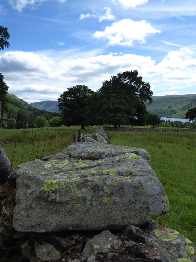 Lake District Dry Stone Wall by cmp