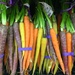 Rainbow Carrots by 365projectorgkaty2