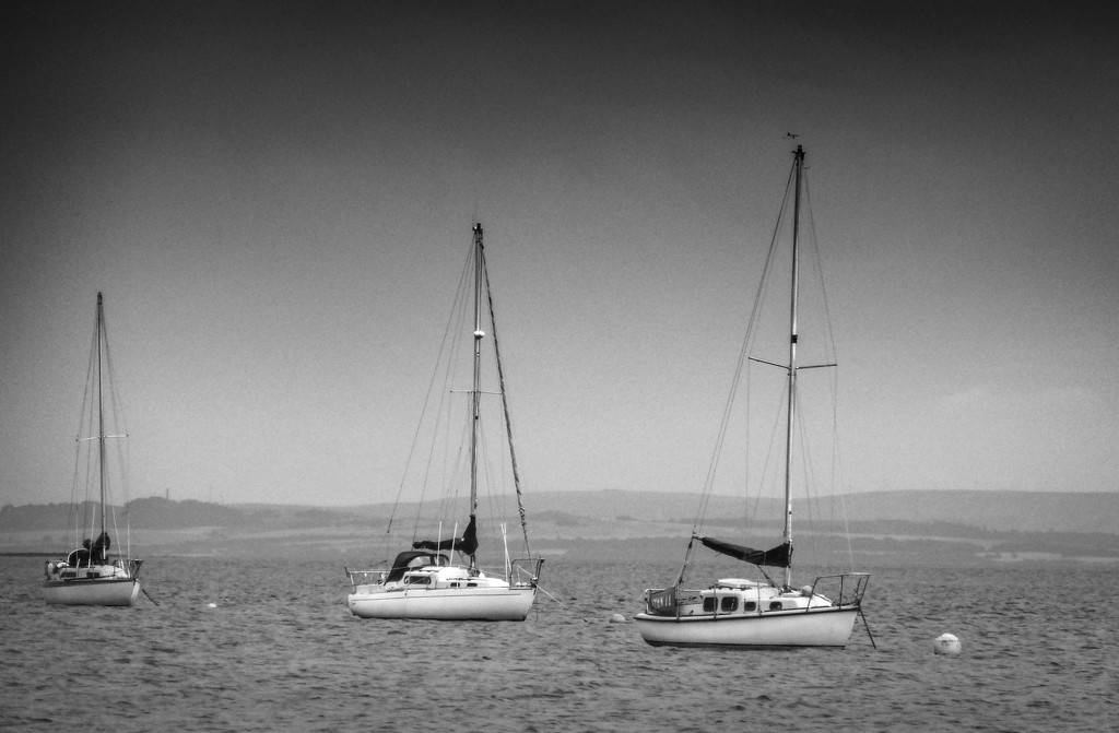 Three yachts by frequentframes