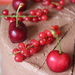 Chocolate & Summer Berry Cake  by cookingkaren