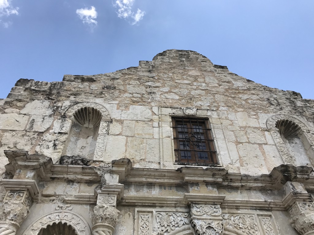 Looking up at the Alamo by kdrinkie