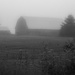 Foggy Morning by farmreporter