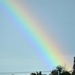 Brilliant Rainbow by nickspicsnz