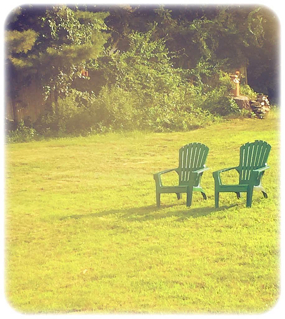 Day 324:  Waiting For Someone To Sit by sheilalorson