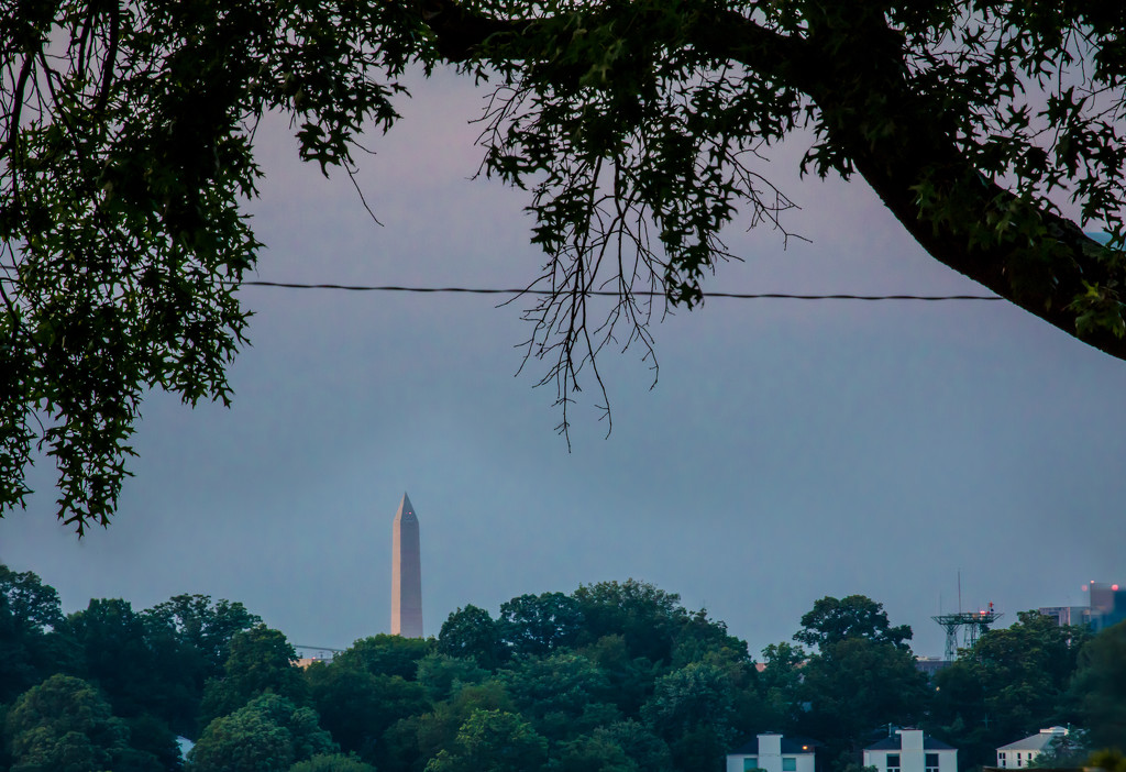 Washington Monument from Landover St by jbritt