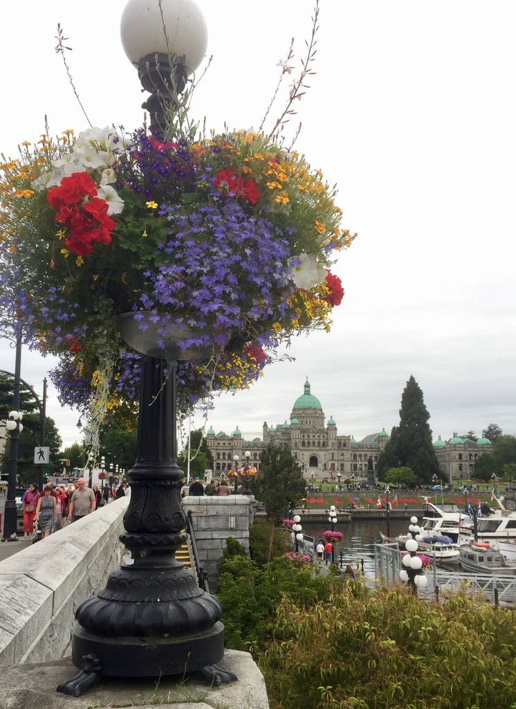 Victoria, BC by kwind