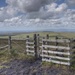 Anglezarke Moor. by gamelee
