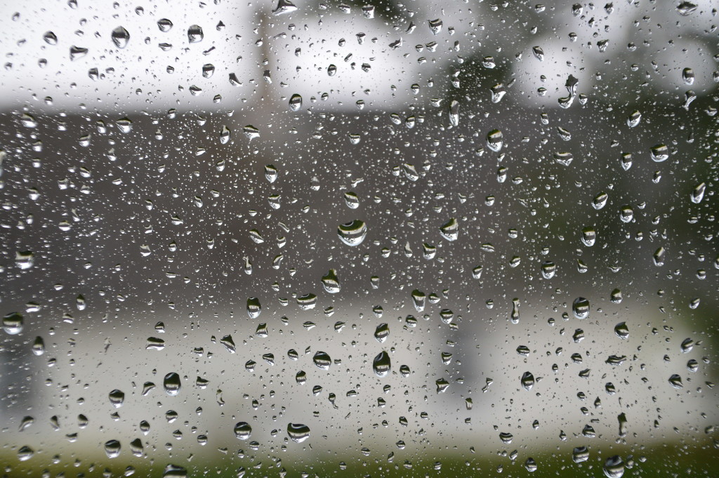 Rain on study window by jon_lip
