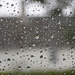 Rain on study window by jon_lip