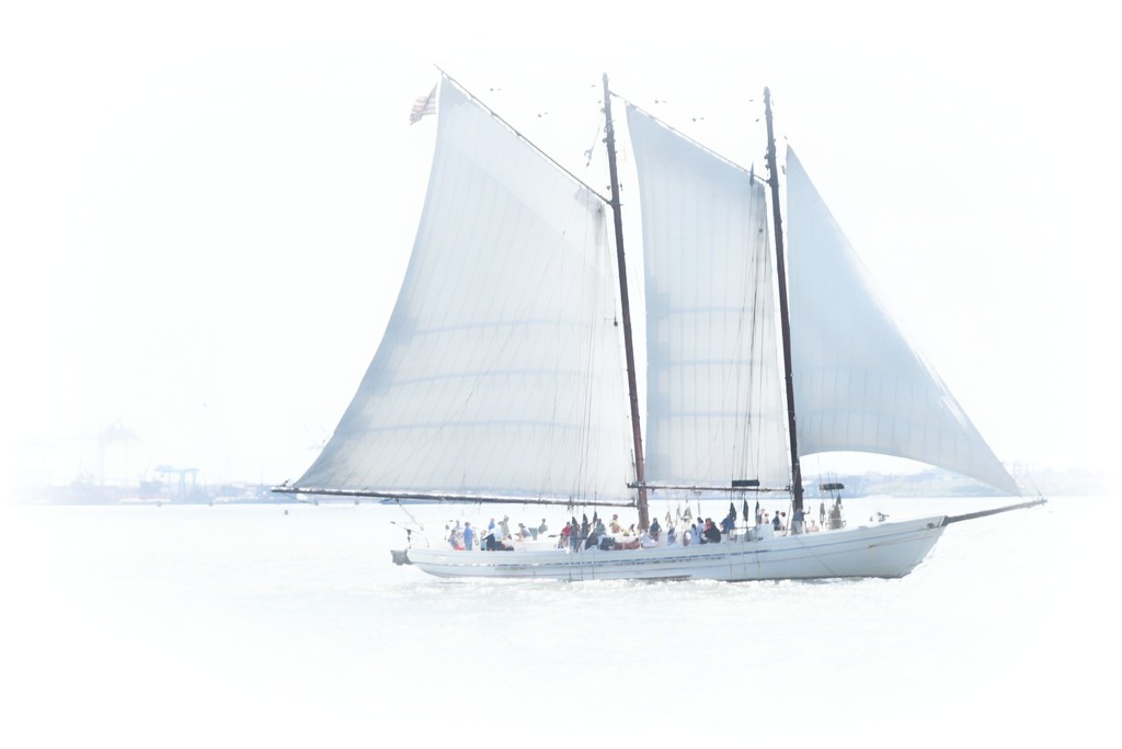 White Sails by joysfocus