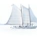 White Sails by joysfocus