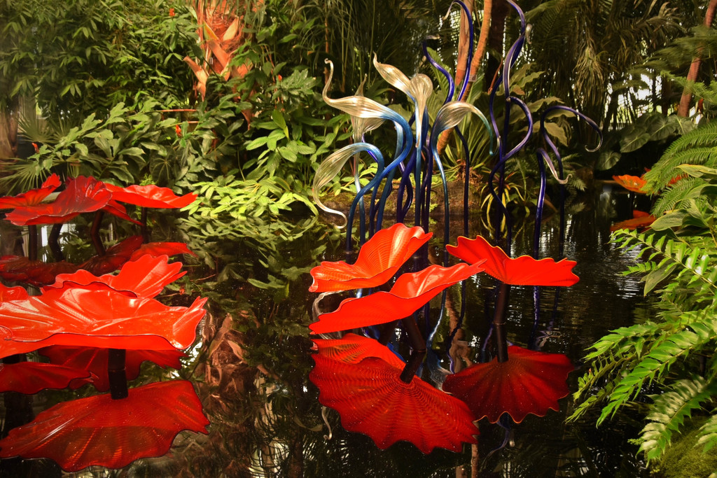 Chihuly Glass and Reflections by joysfocus