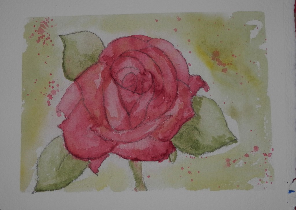 Rose Watercolor Painting by julie