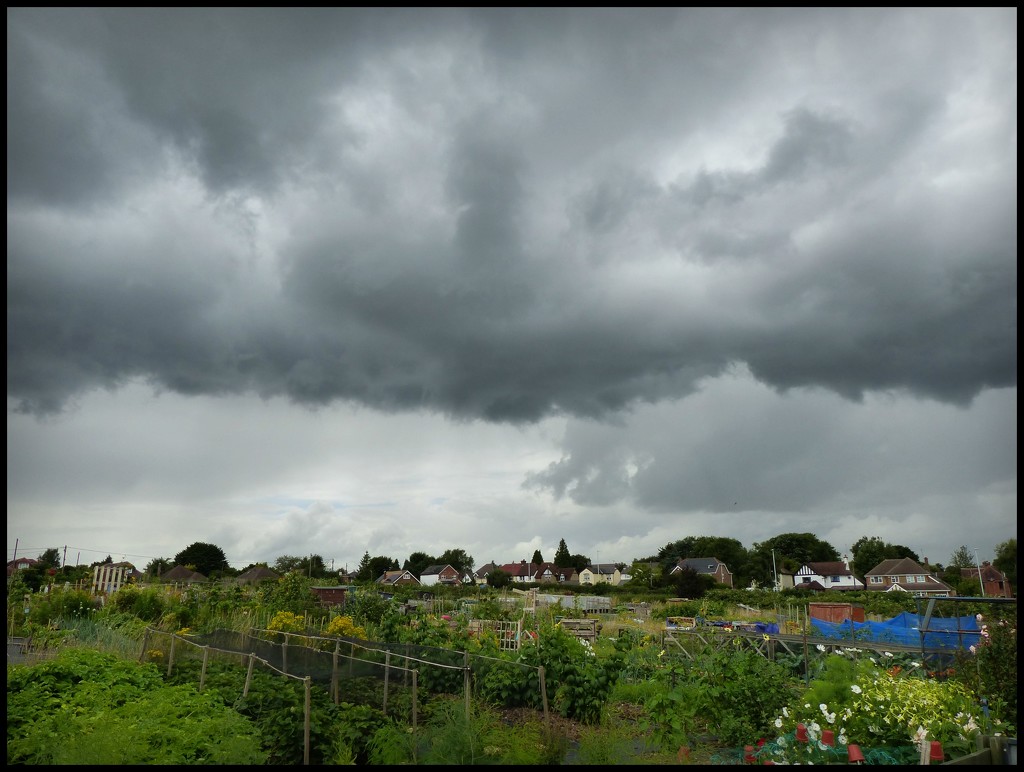 About to get some much needed rain. by jokristina