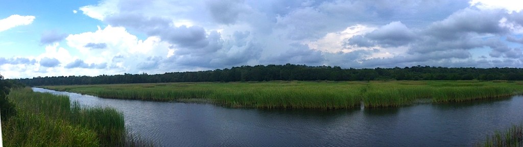 Marsh and sky, Charleston, County, South Carolina by congaree