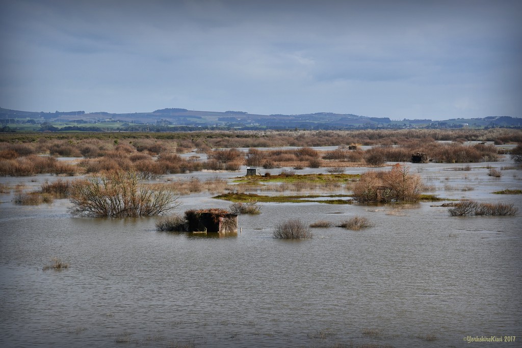 Whangamarino Wetlands by yorkshirekiwi