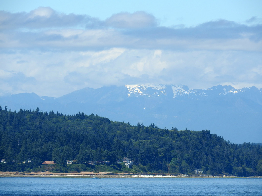 Olympic Mountains  by seattlite