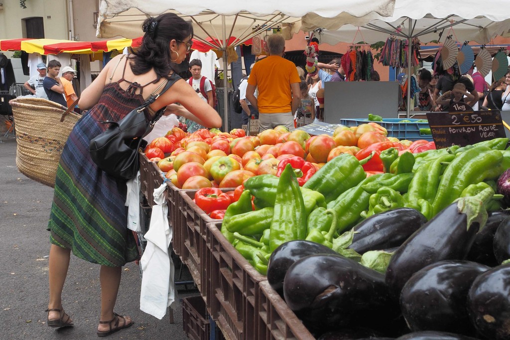 Picking peppers at Céret market by laroque
