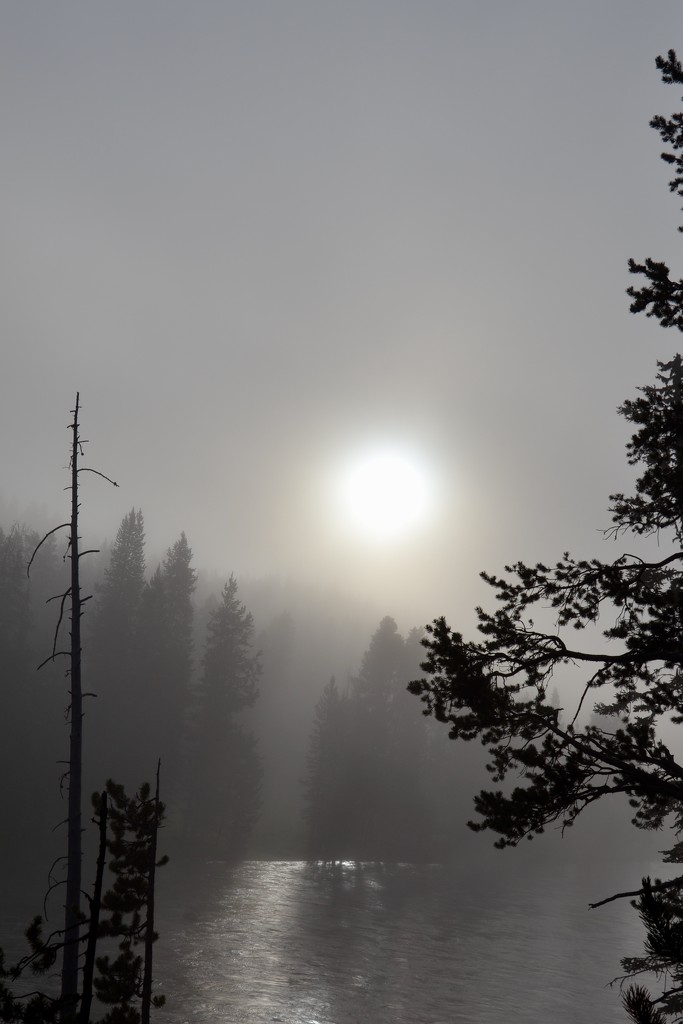 Foggy morning coming down! by louannwarren