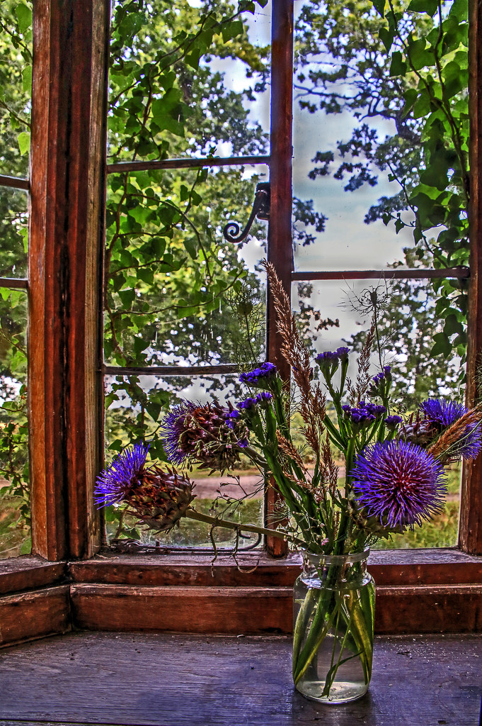 Thistles by megpicatilly
