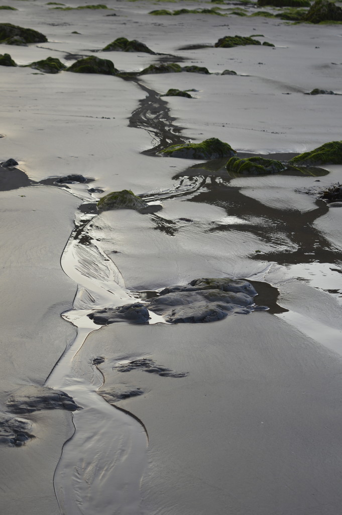 Rivulets in the sand by redandwhite
