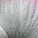 Watermarks by daisymiller