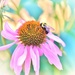 Bee Happy by lynnz