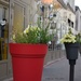 little flowers in the city by parisouailleurs