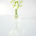Reflected Sweet Peas (White) by 30pics4jackiesdiamond